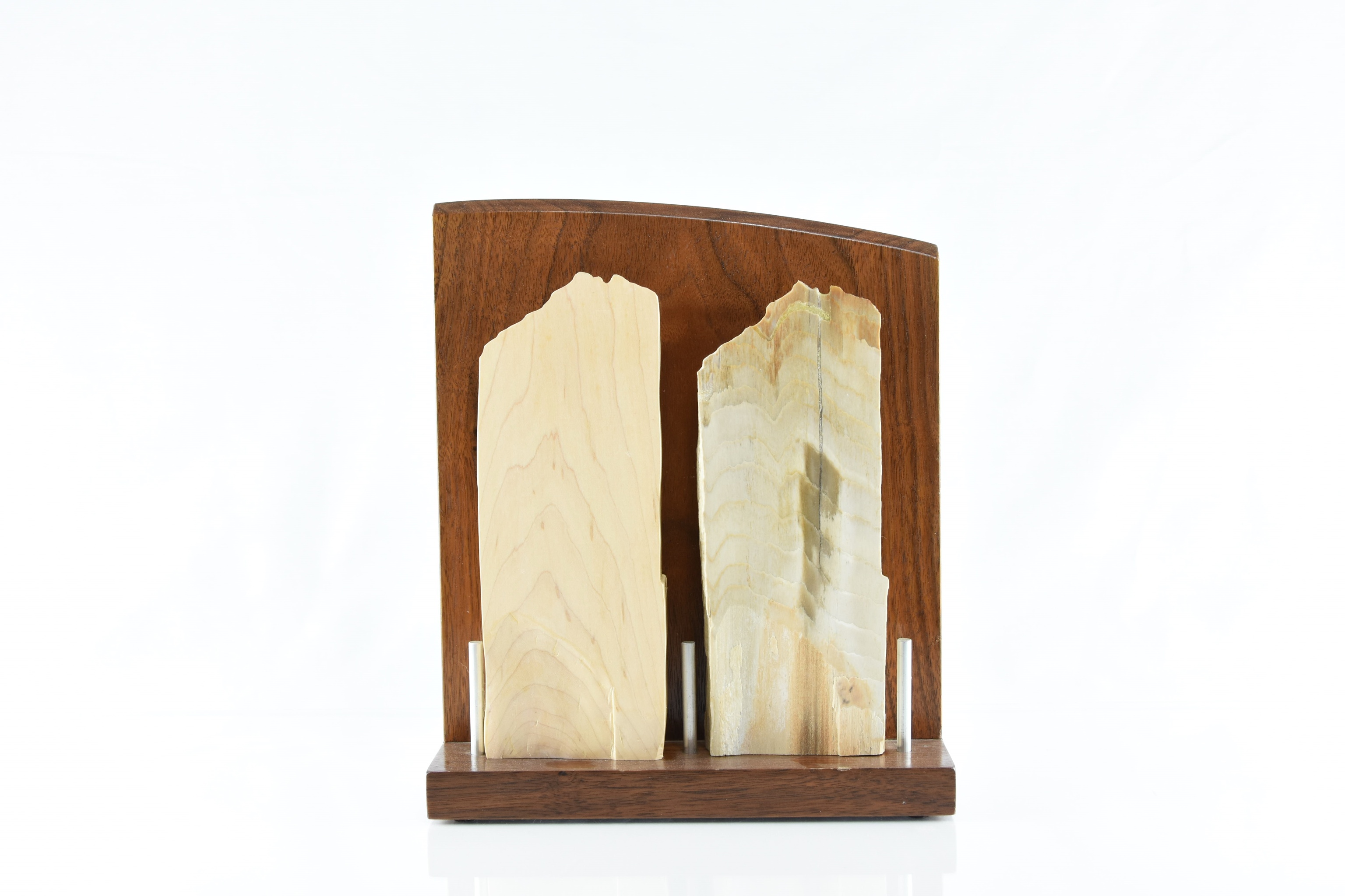 Form and Fossil Pair
